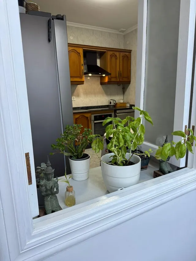 UN HOGAR CON ENCANTO EN EL CORAZÓN DE CÁDIZ — 6