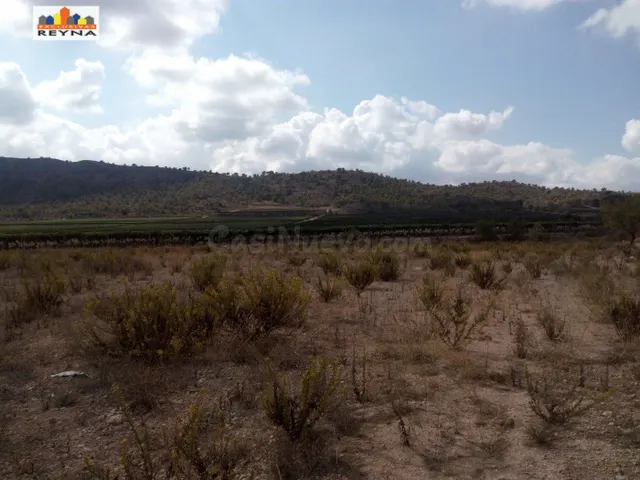 SE VENDE PARCELA RÚSTICA EN LAS AFUERAS DE ASPE IDEAL PARA A - foto 2