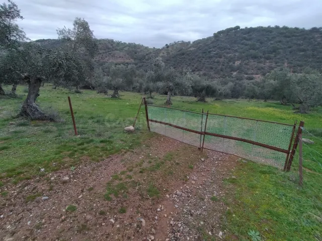 Terreno No urbanizable en Villanueva del Rey - foto 2