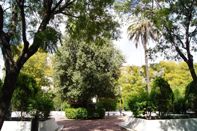 NUEVA OPORTUNIDAD EN RESIDENCIAL CIUDAD JARDÍN — 39