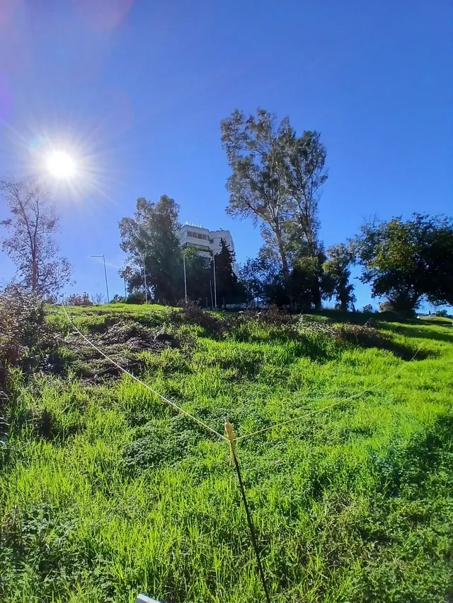 Terreno edificable con licencia en Guadalmina Marbella — 8