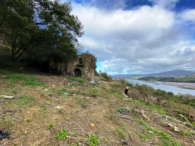 EXCLUSIVA PROPIEDAD CON VISTAS A LA RIA Y 70 HECTAREAS DE TE - foto 3