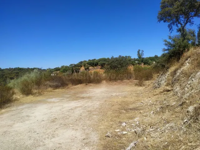 Terreno Rural en Cuevas bajas - Oportunidad Única - foto 2