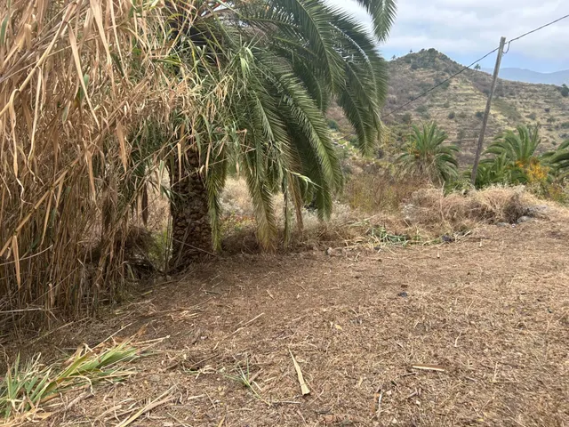Terreno de asentamiento rural con casa a reformar - foto 5