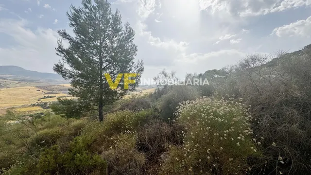¡Silencio, aire puro... y Málaga a 25 minutos! — 18