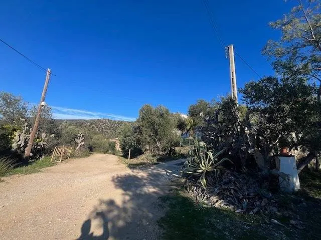 Solar para chalets en Palau-Saverdera — 13