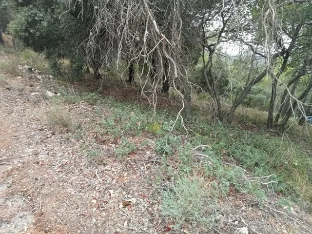 Tegeisa vende parcela de 821m2, con buenas vistas — 2