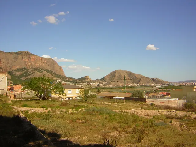 Finca  Raiguero de Bonanza — 4