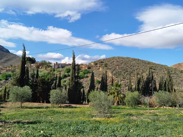 Refugio único con 3 viviendas, olivar y energía solar – Costa Cálida, Murcia — 29