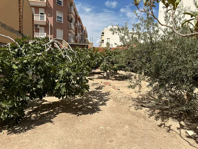 PARCELAS EN EL ALTET - INTERESANTE ubicación - foto 2