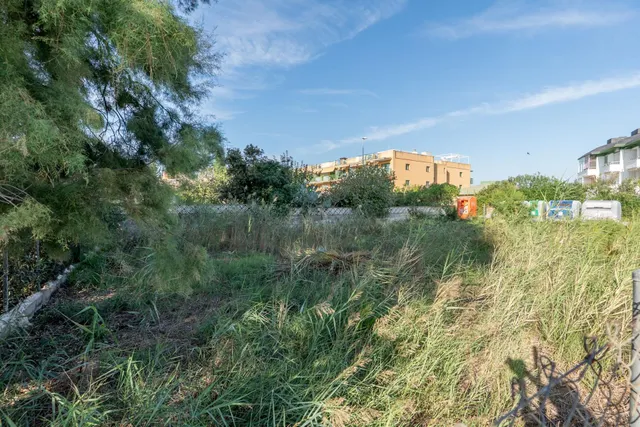 Casa con piscina privada en la urbanización Eucaliptus. — 39
