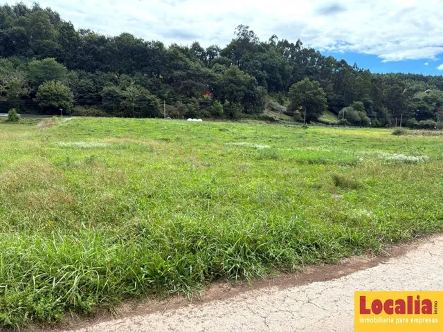 TERRENO RÚSTICO DE 4.743 m² EN PIÉLAGOS - foto 3