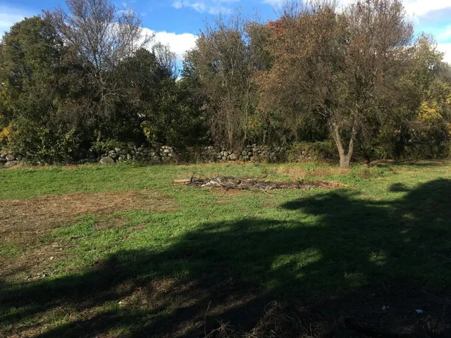 TERRENO URBANO EN CANDELEDA - foto 4