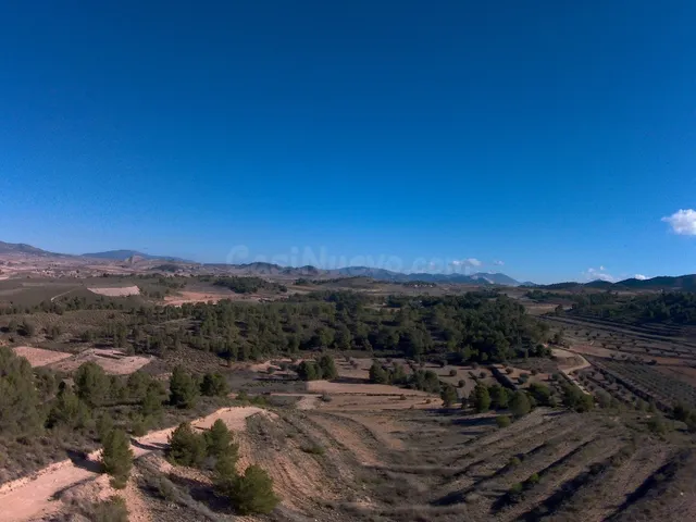 Parcela en venta - Jumilla - foto 5