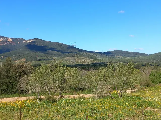 Terreno rural en l'Aleixar — 2