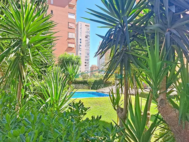 Piso en Benidorm, Zona Juzgados - foto 5