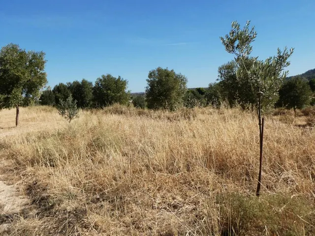 Suelo rústico en Venta en Maella Zaragoza — 30