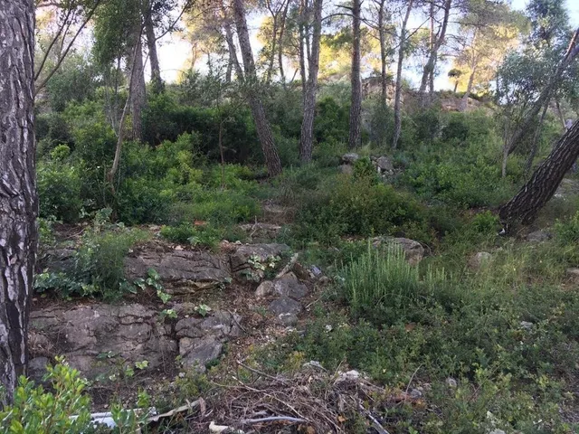 PARCELA URBANA DE 800 M2 EN VENTA EN VALLIRANA — 12