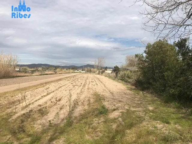 TERRENO RÚSTICO en VENTA - GAVÀ - BARCELONA - foto 2