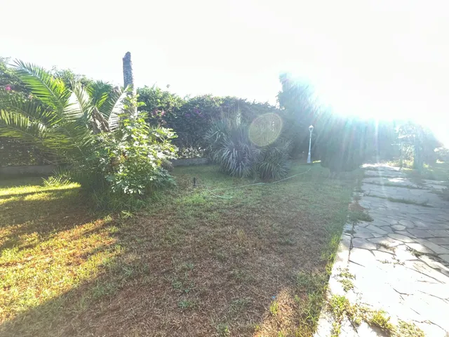 GRAN CHOLLO-FINCA URBANA DE 2600 METROS CON GRAN CHALET , DOS  VIVIENDAS,  TRASTERO Y PISCINA — 20