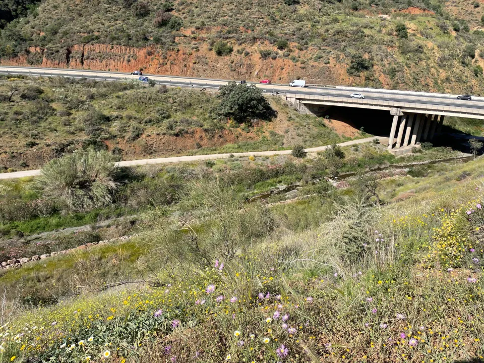 Se vende parcela rústica en los Montes de Málaga, junto a la carretera
