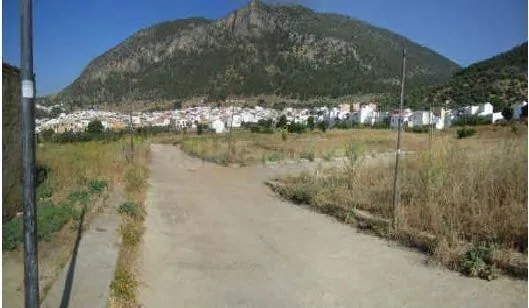 AMPLIO TERRENO URBANO NO CONSOLIDADO - ALGODONALES - foto 4