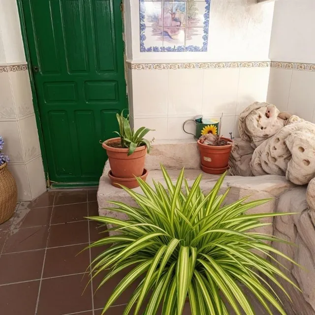 Casa de pueblo en La Roda — 6