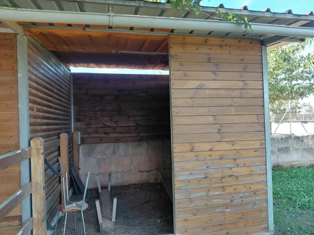 Finca rústica con casita acondicionada y terreno a 500 metros de Manacor — 16