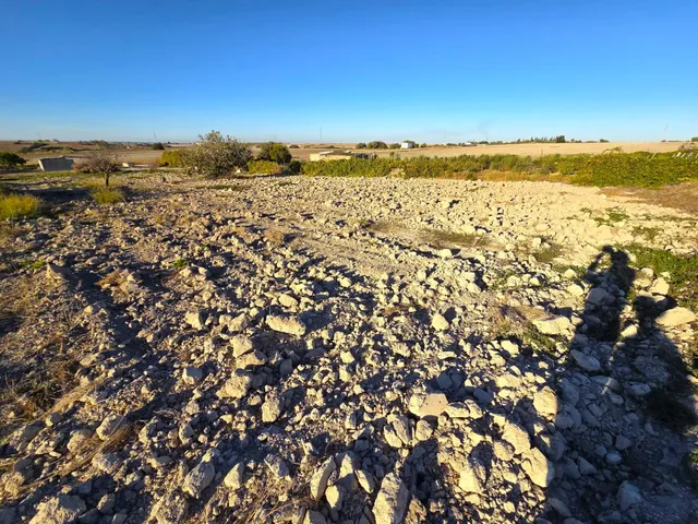 Parcela segregada de 2.235 m/2  en el marquesado con cuarto de aperos y pozo – Chiclana de la Frontera — 27