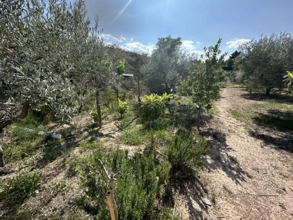 Parcela de terreno Rural cercana al casco urbano — 10