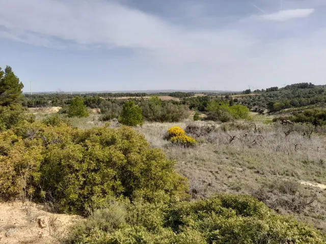 OPORTUNIDAD CASA DE CAMPO CON INMEJORABLES ACABADOS EN FINCA RUSTICA DE BATEA — 47
