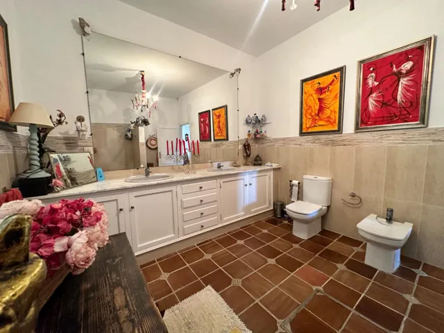 Exclusiva finca rústica con chalet independiente en la carretera Coria del Río - Palomares — 14