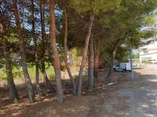 Se vende terreno en la carretera de Ayora con dos naves — 26
