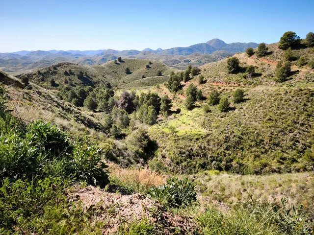 EXCLUSIVO, ESPECTACULAR FINCA CON BOSQUE Y CON DOS CASAS, EN - foto 4
