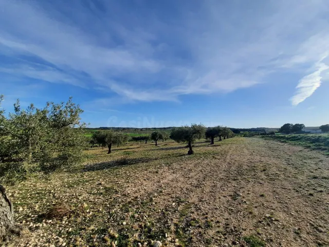 TERRENO PARA SU CASA DE CAMPO EN CANTO BLANCO