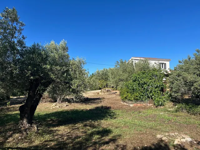 Casa del Relojero — 47