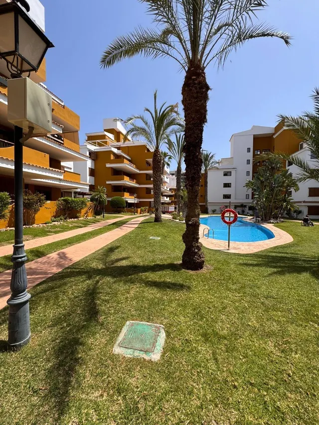 Apartamento con piscina comunitaria, Alicante, Torrevieja. 2 habitaciones, 80 m2, 500 metros del mar — 44