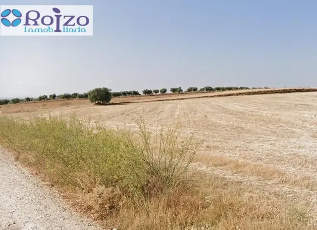 Terreno rural en venta - Castilla la mancha - foto 3