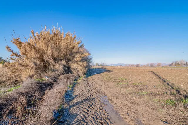 Excelente finca de regadío en la Vega de Granada, con acceso directo — 17