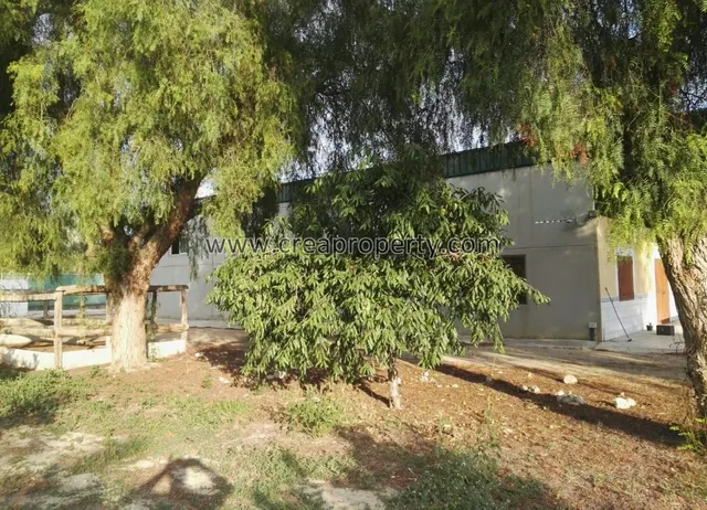 Excelente Finca con caballerizas en El Palmar (Murcia) — 34
