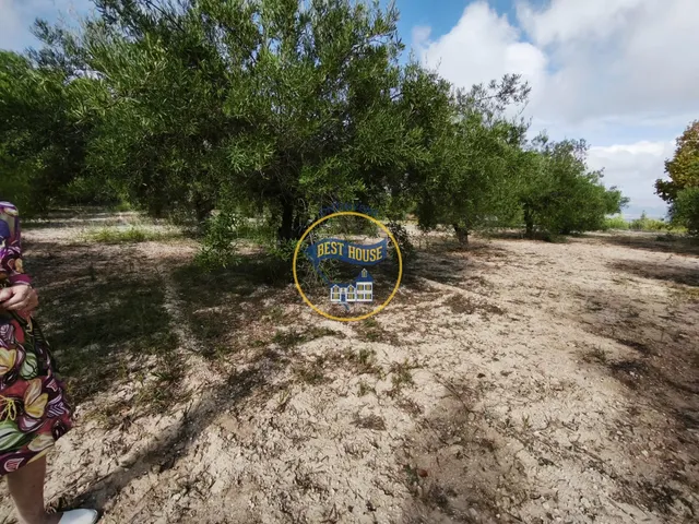 ¡¡¡OPORTUNIDAD!!! ENCANTADORA CASA DE CAMPO EN EXCLUSIVA EN ONTINYENT CON LUZ Y AGUA — 36