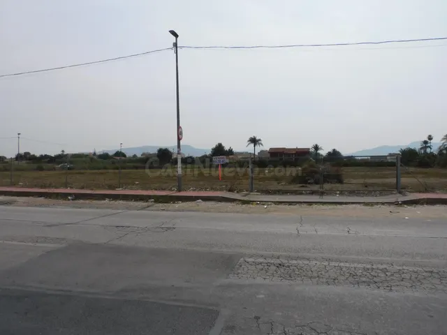 VENTA PARCELA DE HUERTA DE 8.323 M2 EN CRTA. ALICANTE - foto 5