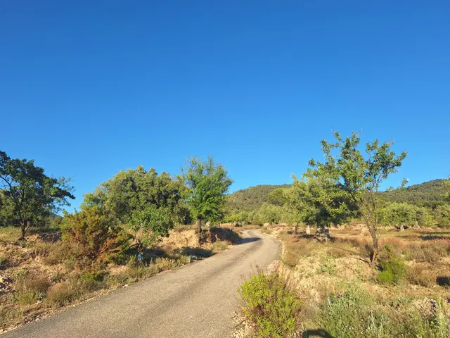 Terreno rústico a solo 3 km de Biar | Posibilidad de construir vivienda y conectar a agua y electricidad — 17