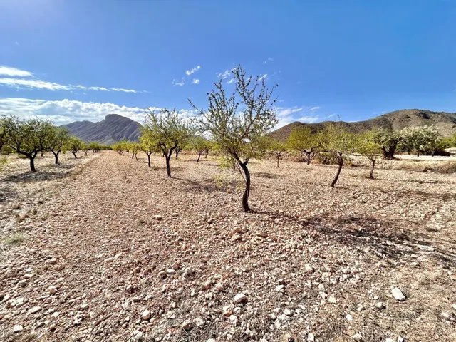 Terreno en Barbarroja - foto 3
