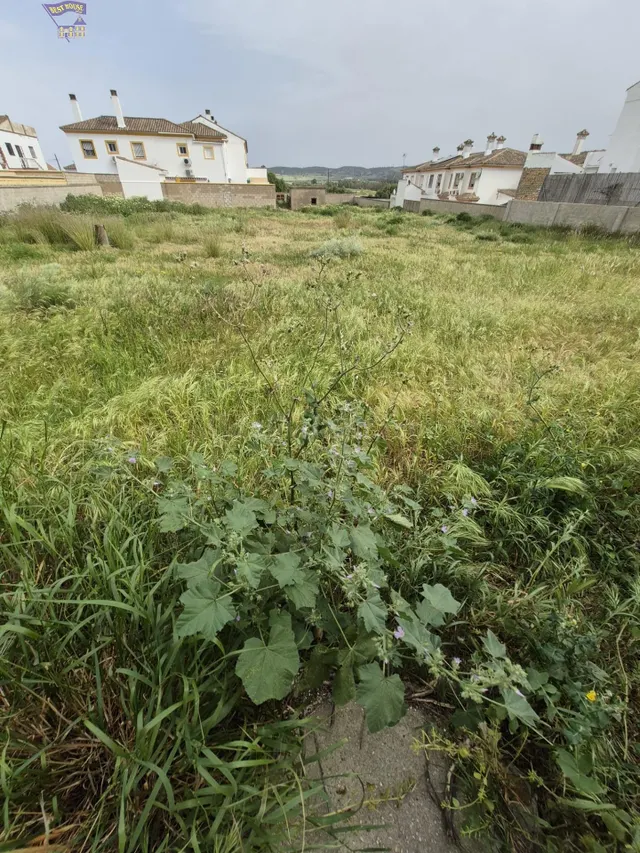 SE VENDE PARCELA EN ZONA DEL SANTISCAL - foto 2