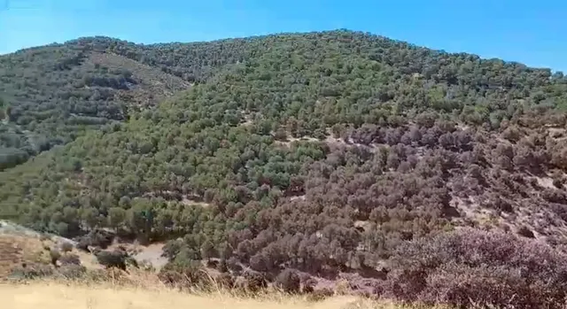 "Finca de Ensueño en Hornachuelos: Caza, Naturaleza y Confort" — 38