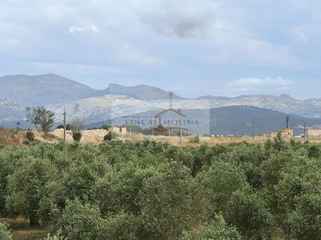 FINCA RUSTICA URBANIZABLE EN VENTA - SA POBLA - foto 4