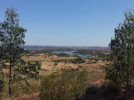 FINCA DE 115 Has DE OLIVAR INTENSIVO — 5