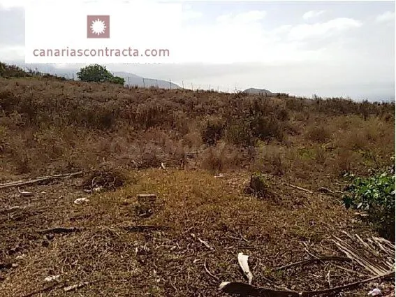 Terreno urbano no consolidado en la Cruz del Teide - foto 5