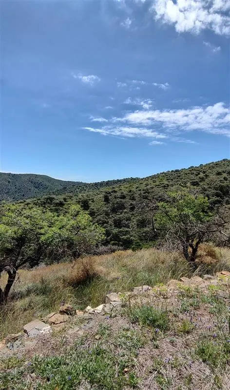 Terreno rústico de 11835 m² en Marbella para cultivo o inversión — 8